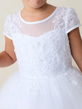 Annalise Pearl Lace Dress – Designed for Cherished Occasions
