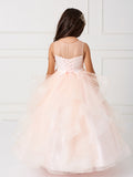 Beautiful Organza Horse Tail Ruffled Pageant Dress For Girls