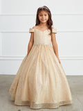 Glitter Tulle Girls Pageant Ball Gown | Special Occasion Dress