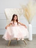 Paisley Girls Dress for Special Events | Blush Kids