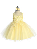 Shyla Baby Girl Special Occasion Party Dress