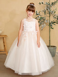 Girls Glitter Tulle Communion Flower Girl Pageant Dress 3D Floral Bodice