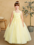 Girls Glitter Tulle Communion Flower Girl Pageant Dress 3D Floral Bodice