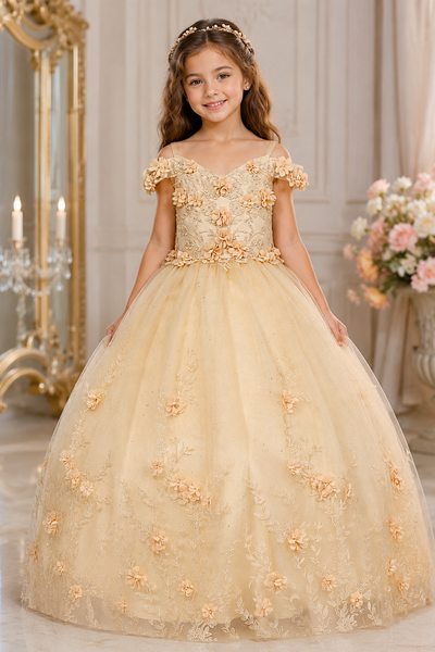 Girls Pageant Dress Floral Ball Gown Floor Length Special Occasion Dress