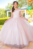 Girls Mini Quince Flower Girl Pageant 3D Floral Embroidered Glitter Tulle Gown