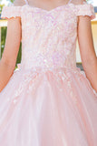 Girls Mini Quince Flower Girl Pageant 3D Floral Embroidered Glitter Tulle Gown