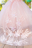 Girls Mini Quince Flower Girl Pageant 3D Floral Embroidered Glitter Tulle Gown