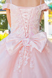 Girls Mini Quince Flower Girl Pageant 3D Floral Embroidered Glitter Tulle Gown