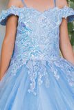 Girls Mini Quince Flower Girl Pageant 3D Floral Embroidered Glitter Tulle Gown