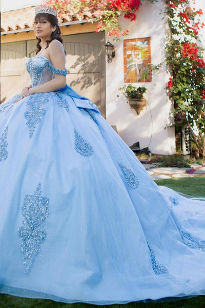 Royal Scroll Beaded Quinceañera Ball Gown | Blush Collection