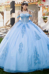 Royal Scroll Beaded Quinceañera Ball Gown | Blush Collection