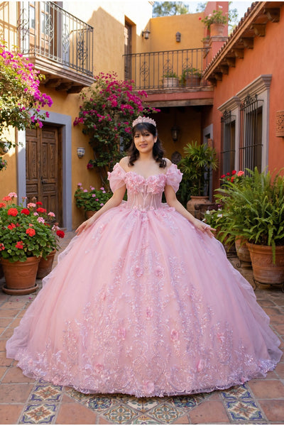 Floral Quinceañera Ball Gown | Blush Quinceañera Collection