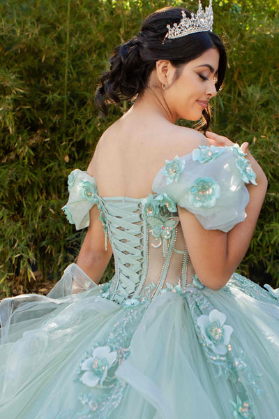 Floral Quinceañera Ball Gown | Blush Quinceañera Collection