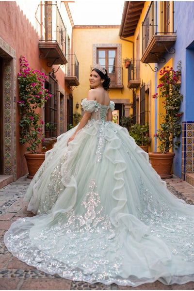 Floral Quinceañera Ball Gown | Blush Quinceañera Collection