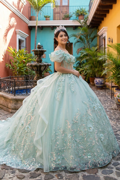 Floral Quinceañera Ball Gown | Blush Quinceañera Collection