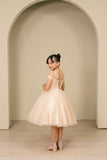 Skylar Shimmer Pageant Dress for Girls