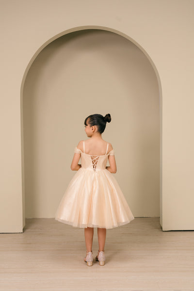 Skylar Shimmer Pageant Dress for Girls