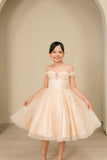 Skylar Shimmer Pageant Dress for Girls