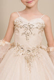Camille Anne Girls Pageant & Special Occasion Gown