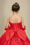 Camille Anne Girls Pageant & Special Occasion Gown