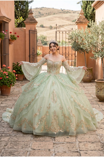 Reina Royale Luxury Quinceañera Ball Gown | Blush Quinceanera Collection
