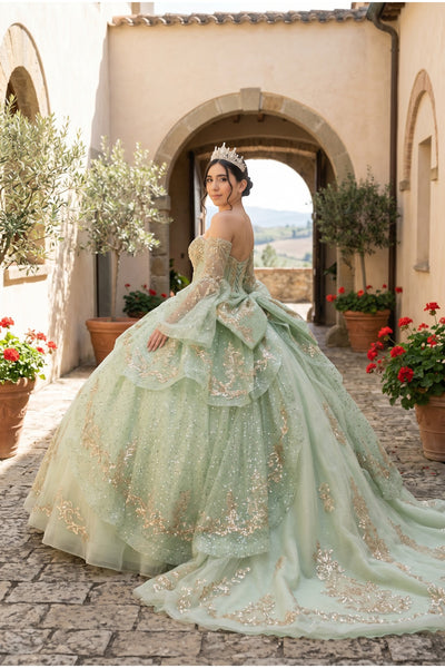Reina Royale Luxury Quinceañera Ball Gown | Blush Quinceanera Collection