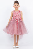Silver Girls Hi Low Pageant Dress with Floral Lace