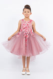 Silver Girls Hi Low Pageant Dress with Floral Lace