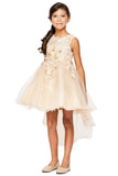 Silver Girls Hi Low Pageant Dress with Floral Lace