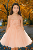 Rosalie Pink Floral Tulle Dress | Girls Special Occasion Dress