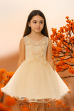 Rosalie Pink Floral Tulle Dress | Girls Special Occasion Dress