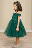 Lila Grace Girls Off-Shoulder Tulle Pageant Dress