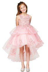 Hi Low Ruffle Girls Party Dress 2–12