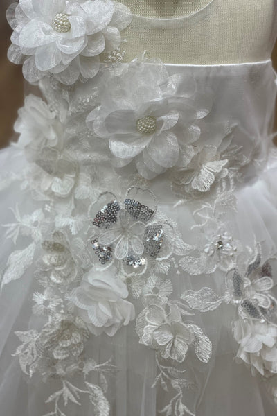 Baby 3D Floral Lace Dress for Special Occasion