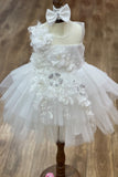 Baby 3D Floral Lace Dress for Special Occasion