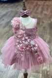 Baby 3D Floral Lace Dress for Special Occasion