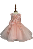 Crystal Tulle Baby Pageant Dress with 3D Flowers