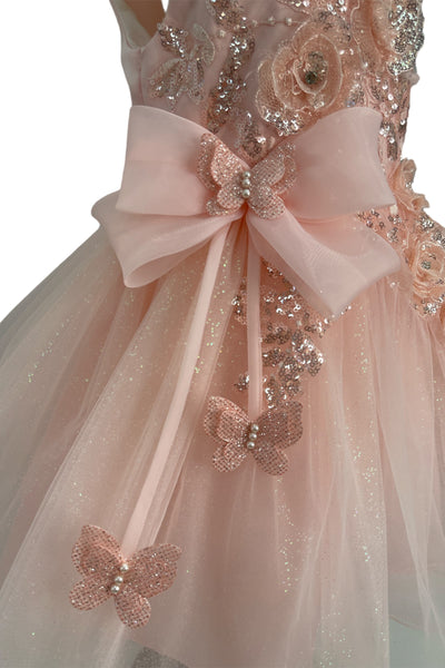 Crystal Tulle Baby Pageant Dress with 3D Flowers