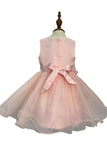 Crystal Tulle Baby Pageant Dress with 3D Flowers