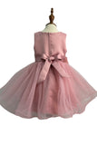 Crystal Tulle Baby Pageant Dress with 3D Flowers