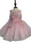 Crystal Tulle Baby Pageant Dress with 3D Flowers