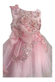 Crystal Tulle Baby Pageant Dress with 3D Flowers