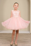 Lily Belle Girls Short Floral Applique Tulle Dress | Blush Kids