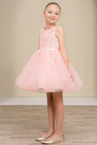 Lily Belle Girls Short Floral Applique Tulle Dress | Blush Kids