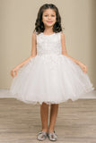 Lily Belle Girls Short Floral Applique Tulle Dress | Blush Kids
