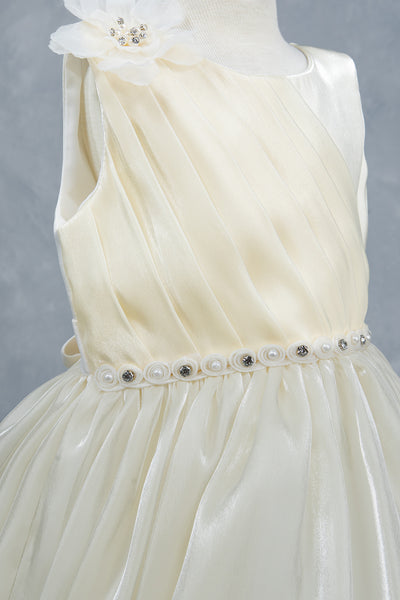 Baby Girl Party Dress Flower Girl Special Occasion
