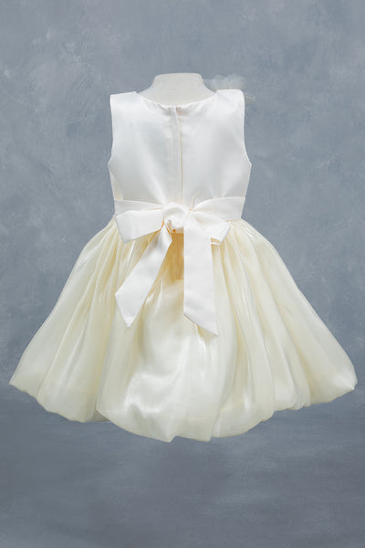Baby Girl Party Dress Flower Girl Special Occasion