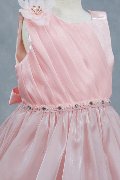Baby Girl Party Dress Flower Girl Special Occasion
