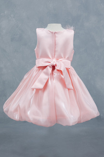 Baby Girl Party Dress Flower Girl Special Occasion