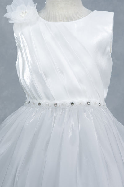 Baby Girl Party Dress Flower Girl Special Occasion